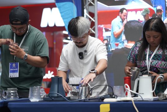 Convención del Café reúne a 10 mil asistentes